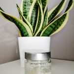 Peeling Gesichtspeeling & Body Scrub